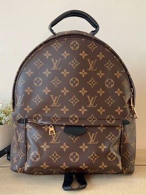 Louis Vuitton Monogram Canvas Palm Springs MM Backpack